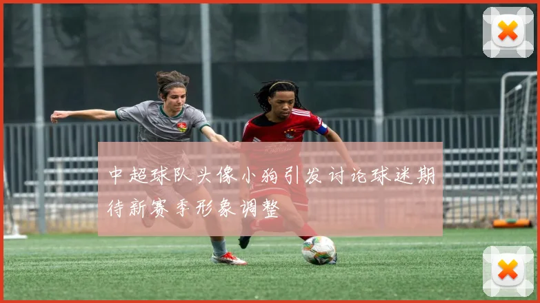 中超球队头像小狗引发讨论球迷期待新赛季形象调整