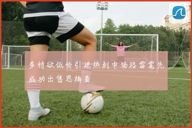 多特欲低价引进热刺中场格雷需先成功出售恩梅查