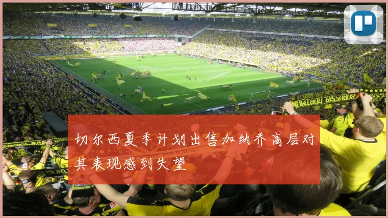 切尔西夏季计划出售加纳乔高层对其表现感到失望