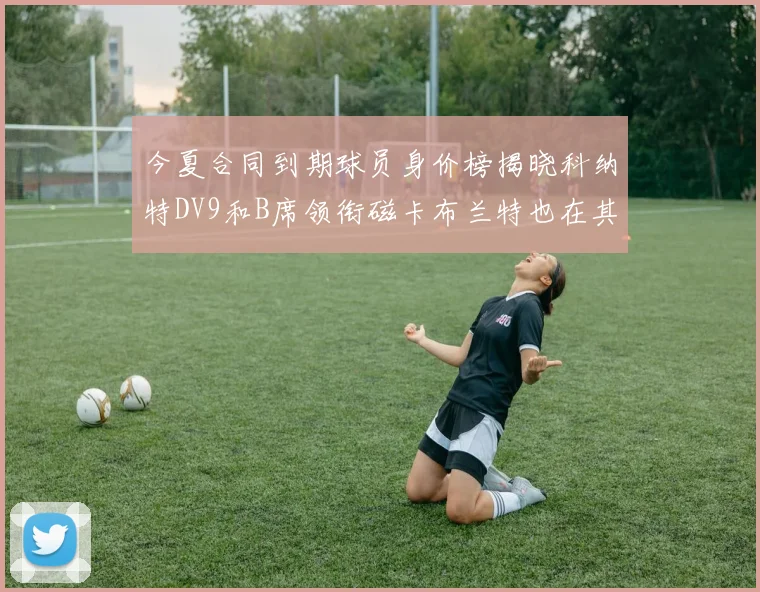 今夏合同到期球员身价榜揭晓科纳特DV9和B席领衔磁卡布兰特也在其中